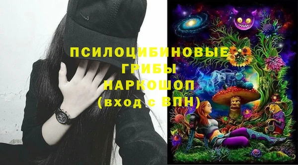 спиды Арсеньев