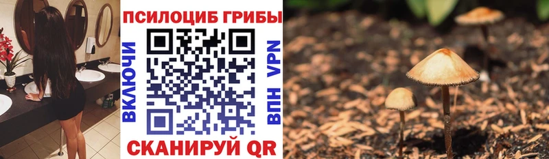 Галлюциногенные грибы мухоморы  МЕГА ONION  Балтийск 