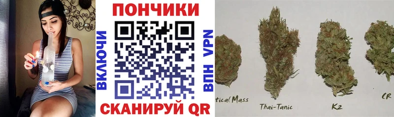 Шишки марихуана Amnesia  МЕГА tor  Балтийск  закладки 